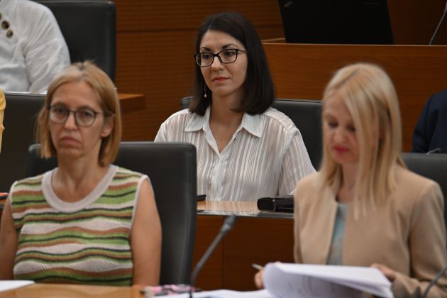 emilija stojmenova duh dz bobo.jpg