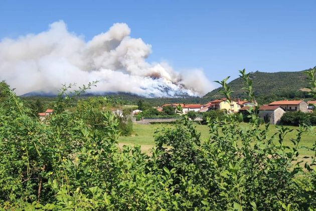 kras pozar trstelj.jpg