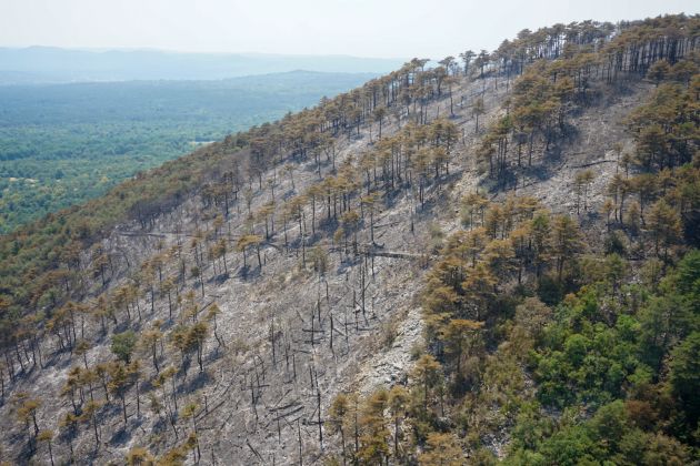 požar, požarišče, kras