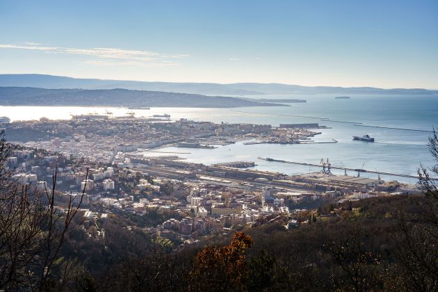 TRST simen-zupancic-media24si-10 (1).jpg