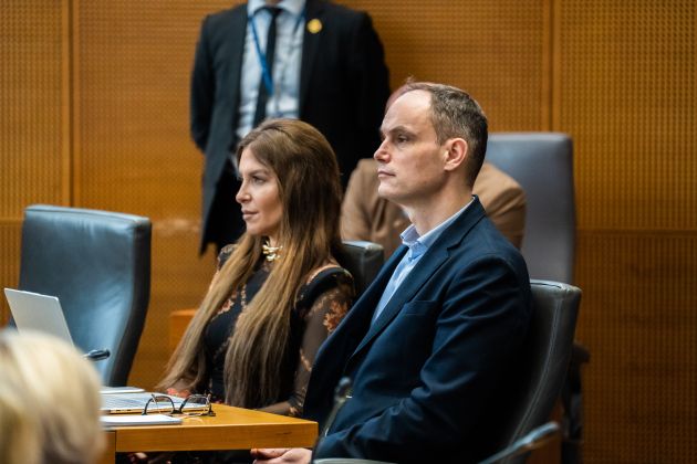 UV irg logar Saso Svigelj.jpg