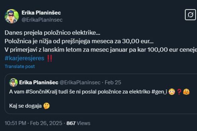 erika planinsec elektrika.jpg