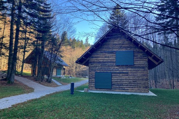 brunarici kocevska reka.jpg