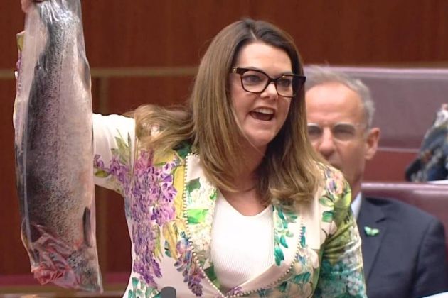 Sarah Hanson-Young losos.jpg