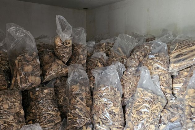 kosti skofja loka.jpg