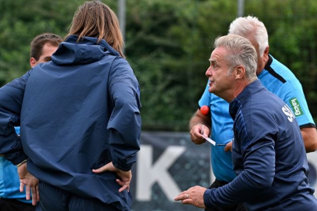 sak borovlje rumeni karton.jpg