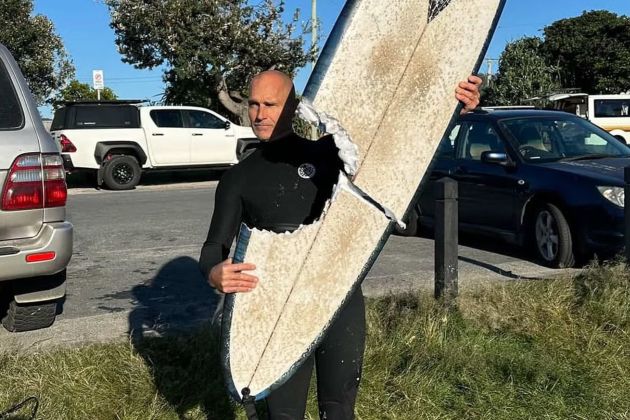 morski pes deska.jpg