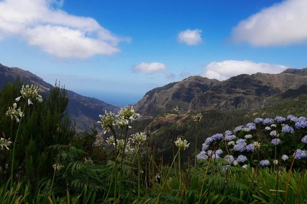 35 Madeira Narava.jpg