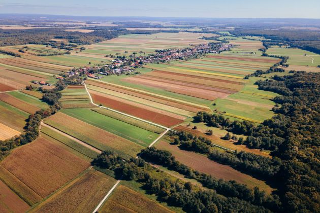 simbolična, gozd, dron, prekmurje, narava, podeželje, kobilje