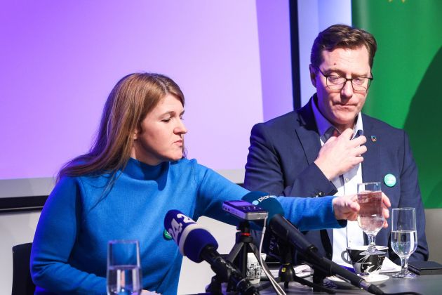 zgojznik prebilic pl1.jpg