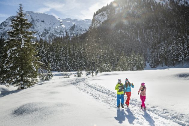 flachau-winterwandern-natur_Flachau-Tourismus_Markus-Berger (1).jpeg