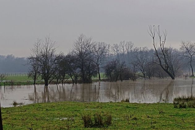 kolpa, reka