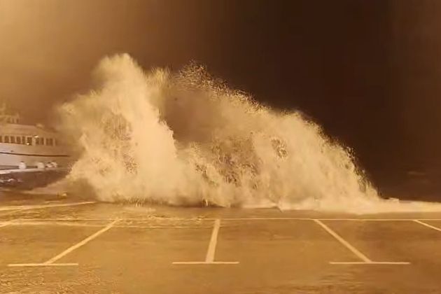 neurje dalmacija.jpg