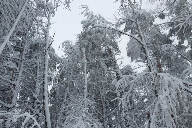snegolom, obilno-snezenje