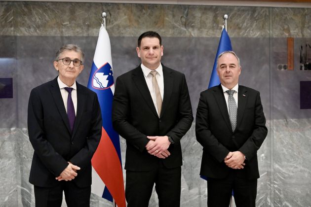 krivec stevanovic krizan.jpg