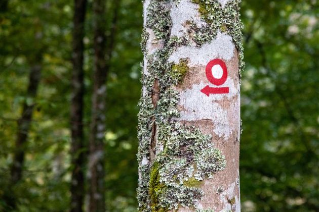 Foto Jure Eržen.jpg