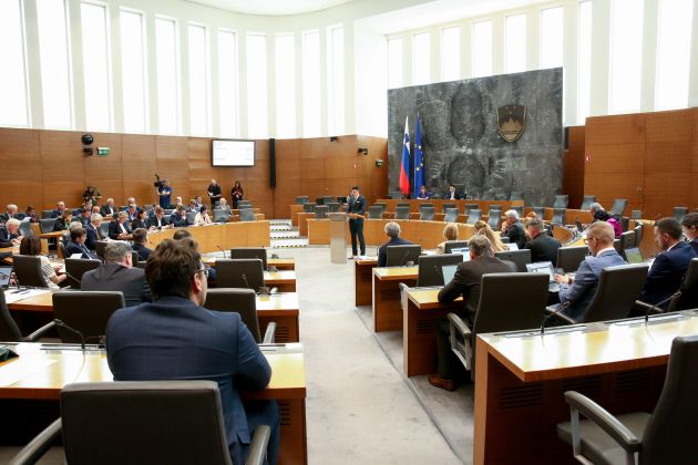 drzavni zbor dz.jpg