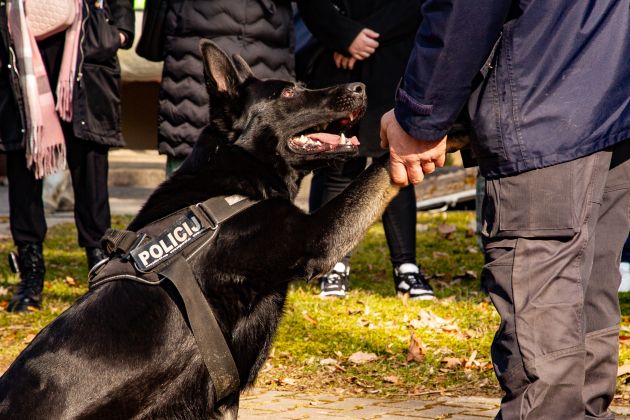 policija pes.jpg