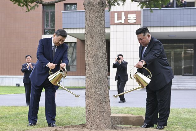UV xi kim zalivata pf.jpg
