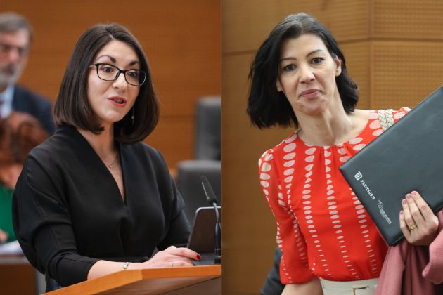 stojmenova duh svarc pipan.jpg