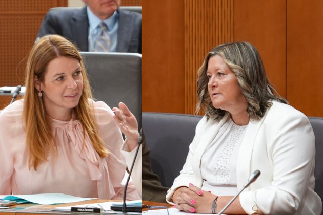 SPLET tea kosir--elena zavadlav usaj.jpg