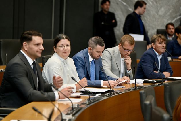 resnica poslanska skupina