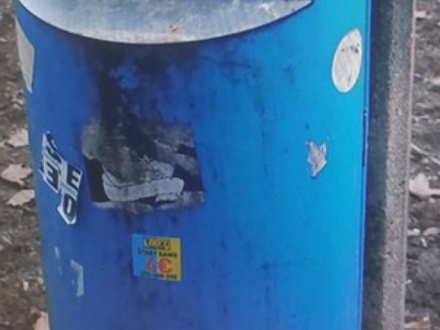 eccc4785096560365fd601ef3ed6057f.jpeg