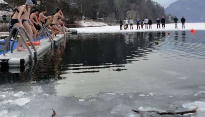 Zimsko plavanje na Bledu