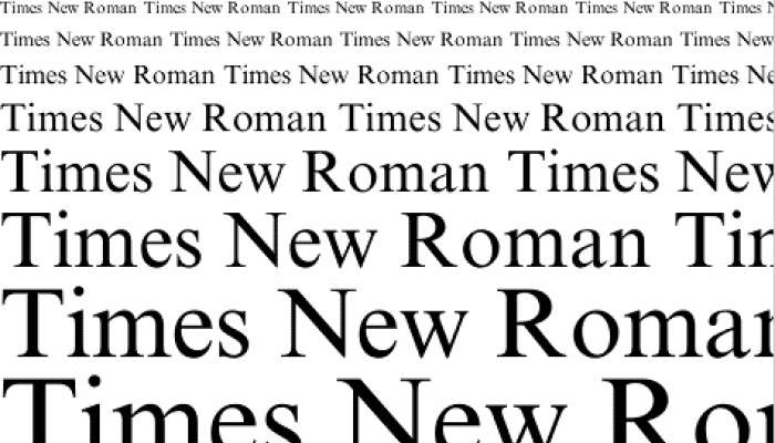 Črkovna vrsta Times New Roman