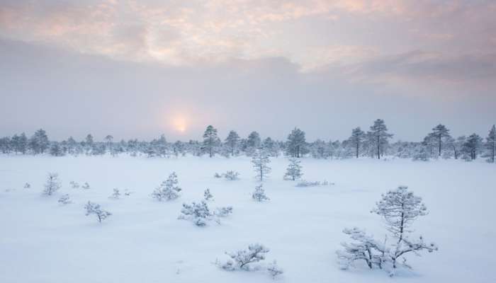 estonia sneg