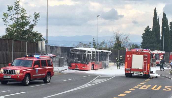 Avtobus, Koper 2