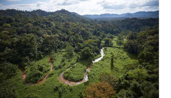 Honduras, deževni gozd, belo mesto