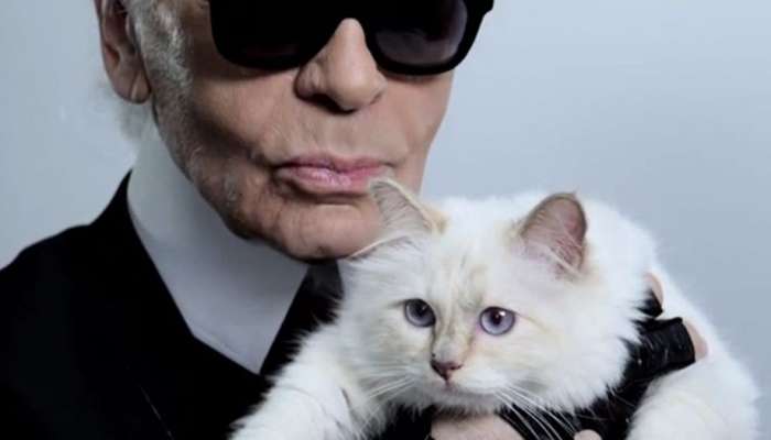 Lagerfeld, Choupette