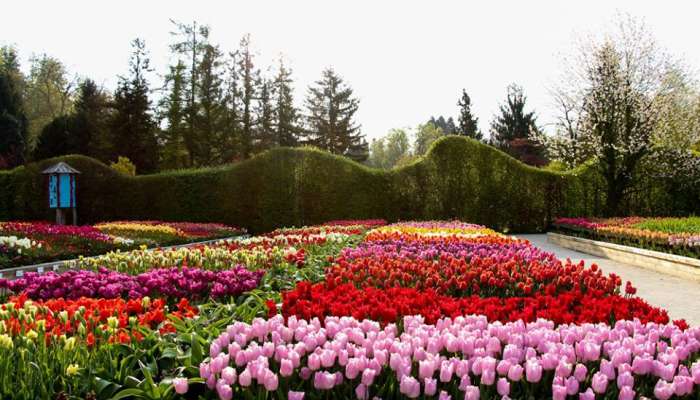 Arboretum Volčji potok