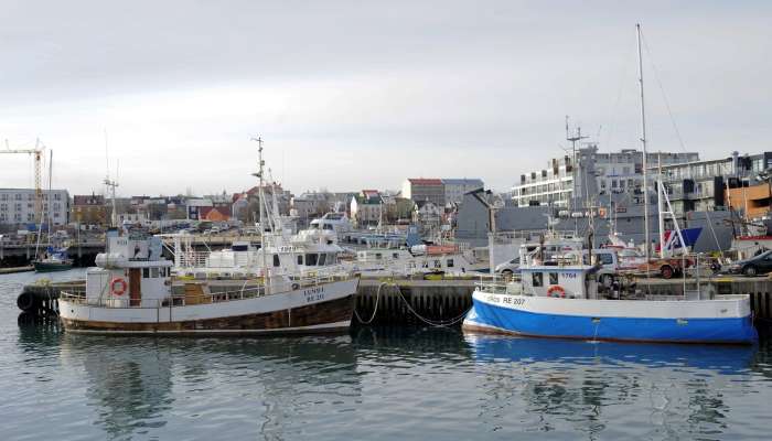 reykjavik, islandija, pristanišče