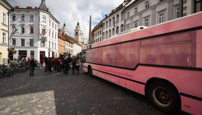 rožnati avtobus
