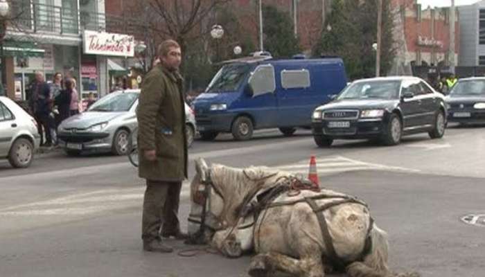 Nesrečni konj