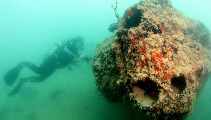 Potapljač, bombnik, potopljeno letalo, Pearl Harbor