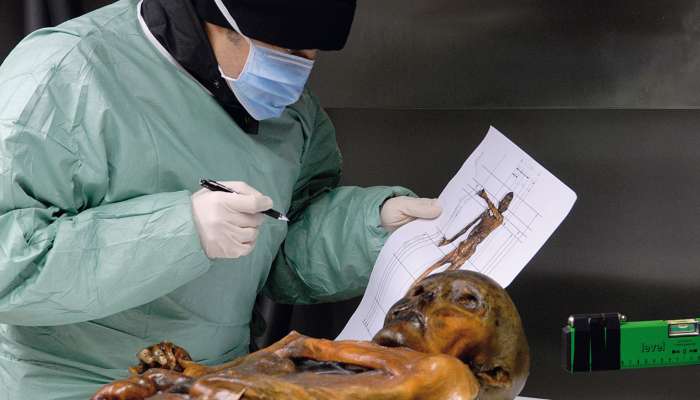 otzi3