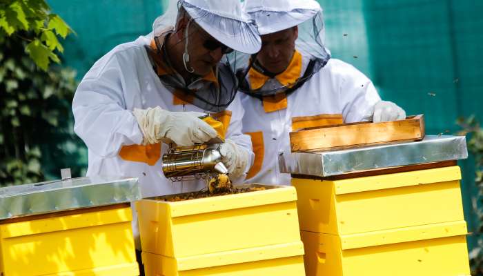 Čebelerjem so določene izjave zelo škodile