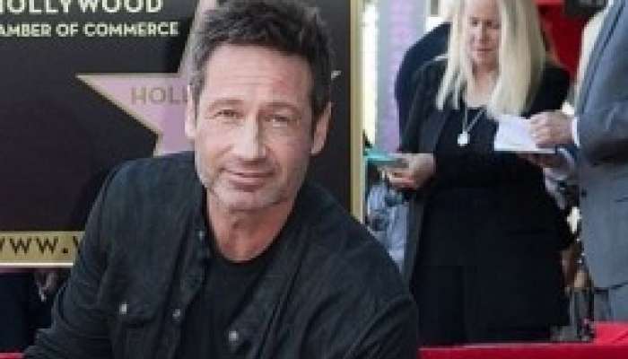 David Duchovny - foto 1