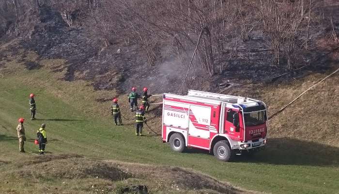 Zadlog, gozdni požar