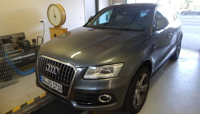 ukraden audiq5 1