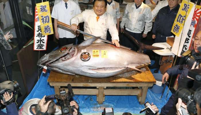 Lastnik restavracij, Kiyoshi Kimura, tuna, ribja tržnica