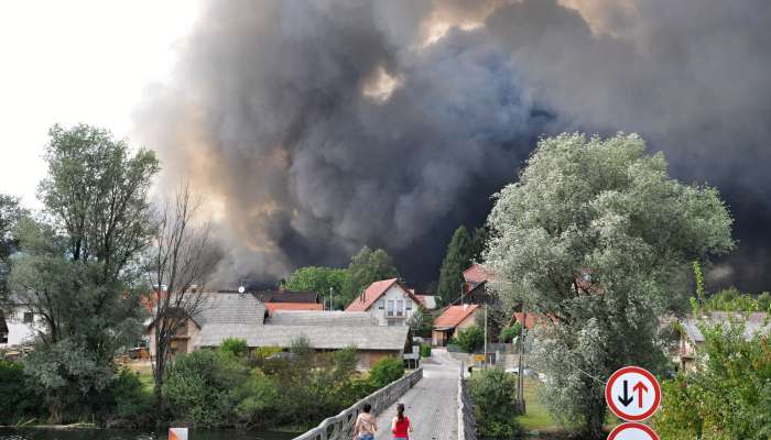 Ekosistemi, požar