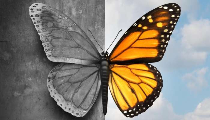 metulj, bipolarna motnja