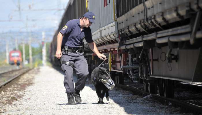 vlak, policija, policijski pes, iskanje