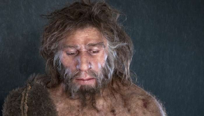 Neandertalec