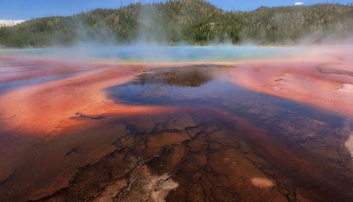 Yellowstone