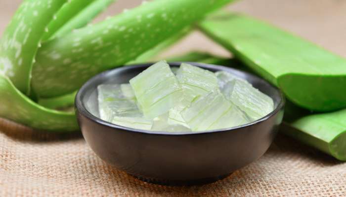 slika 2 aloe vera